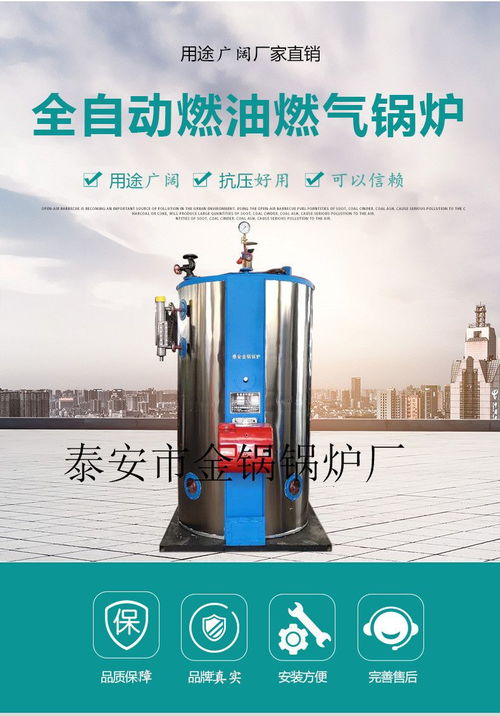 廠家直銷燃?xì)忮仩t 推動(dòng)高效節(jié)能蒸汽應(yīng)用新高度